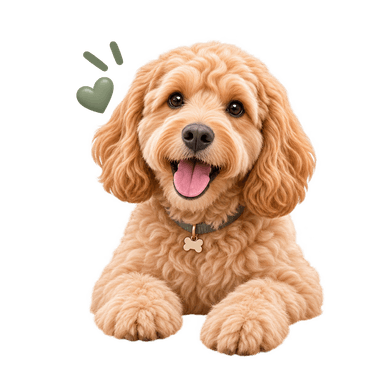 Happy dog representing pet-first care decisions